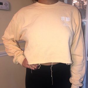 Urban outfitters cropped hoodie